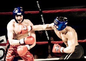boxer