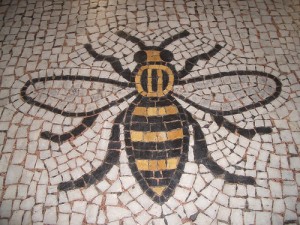 I was busy, like this bee… kinda.